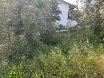 Terreno para Venda em Soure