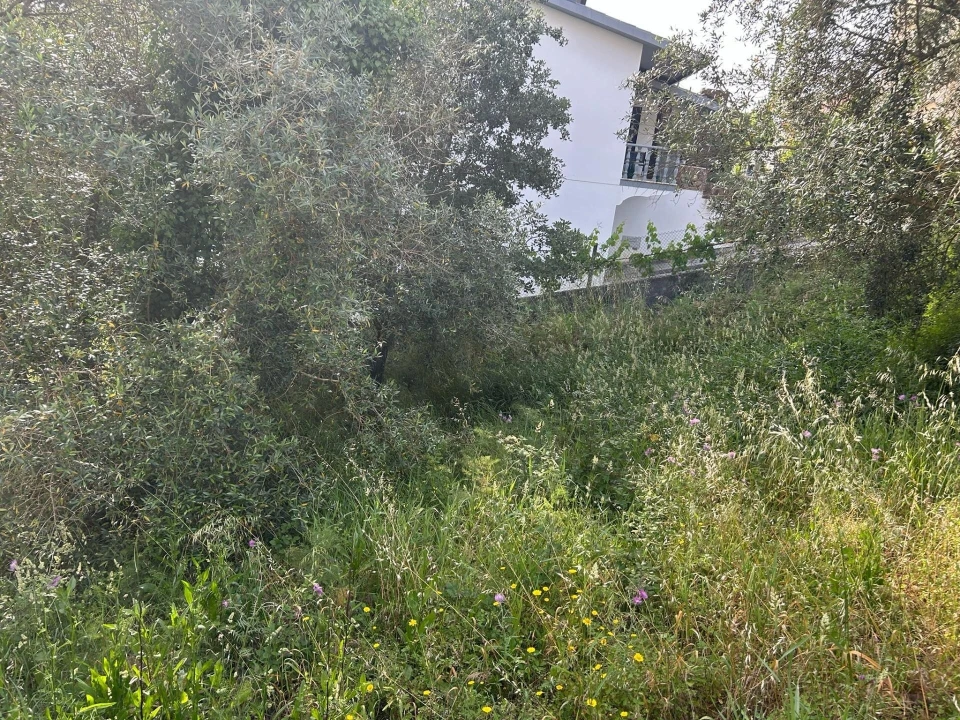 Terreno para Venda em Soure Foto 3