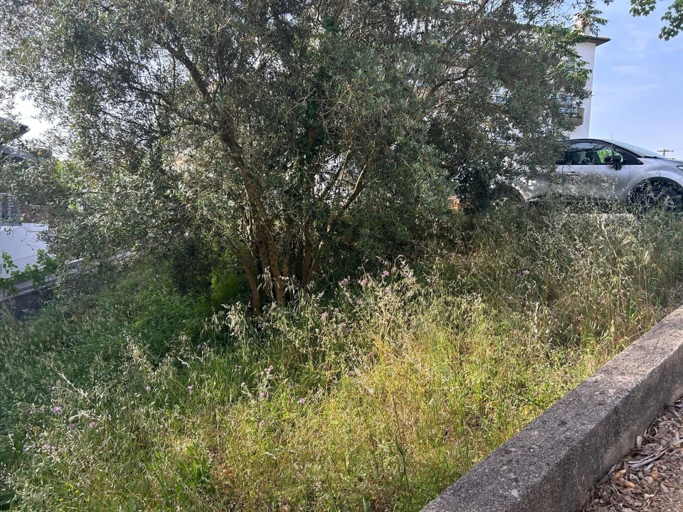 Terreno para Venda em Soure Foto 8