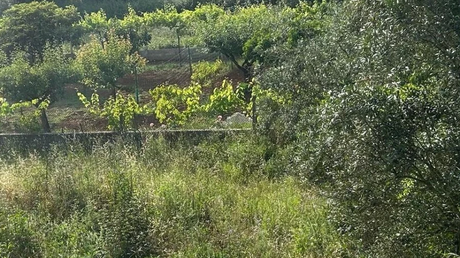 Terreno para Venda em Soure