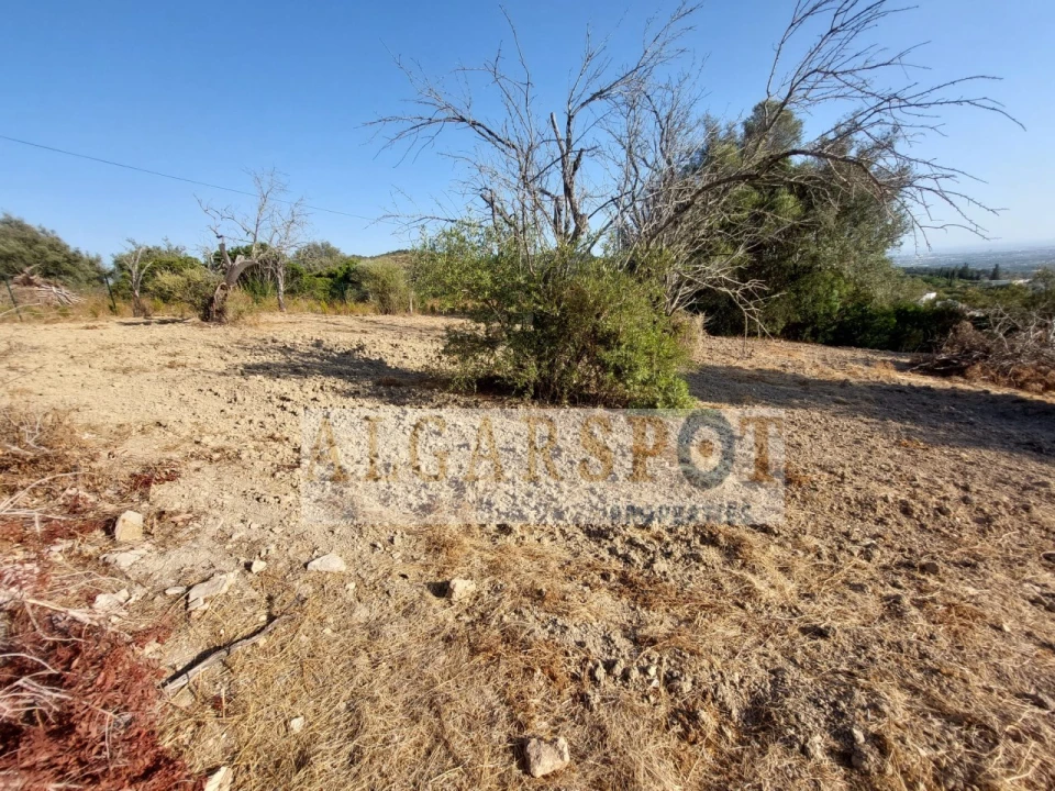 Terreno para Venda em Santa Barbara de Nexe Foto 18