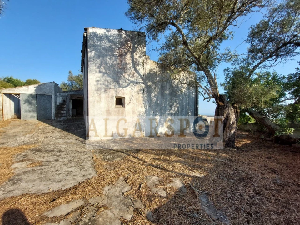 Terreno para Venda em Santa Barbara de Nexe Foto 4