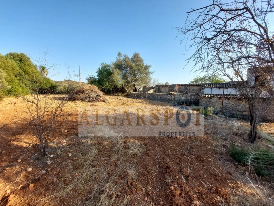 Terreno para Venda em Santa Barbara de Nexe Foto 5