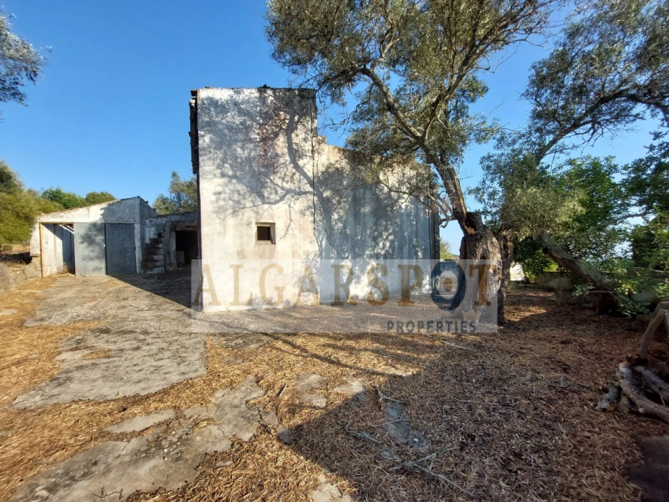 Terreno para Venda em Santa Barbara de Nexe Foto 6