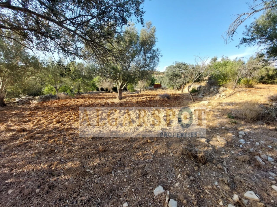 Terreno para Venda em Santa Barbara de Nexe Foto 10