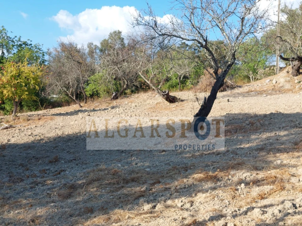 Terreno para Venda em Santa Barbara de Nexe Foto 11