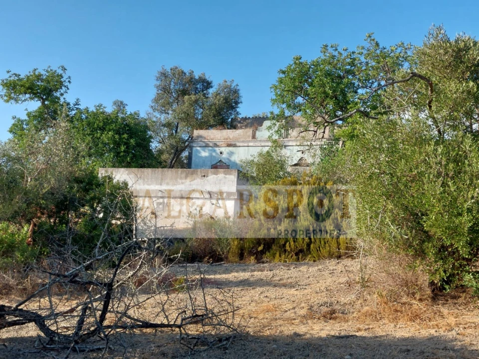 Terreno para Venda em Santa Barbara de Nexe Foto 15