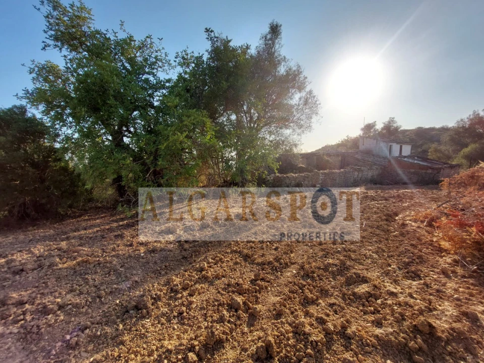 Terreno para Venda em Santa Barbara de Nexe Foto 19