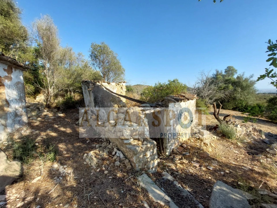 Terreno para Venda em Santa Barbara de Nexe Foto 24