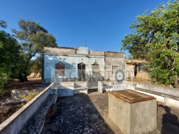 Terreno para Venda em Santa Barbara de Nexe