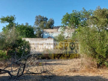 Terreno para Venda em Santa Barbara de Nexe