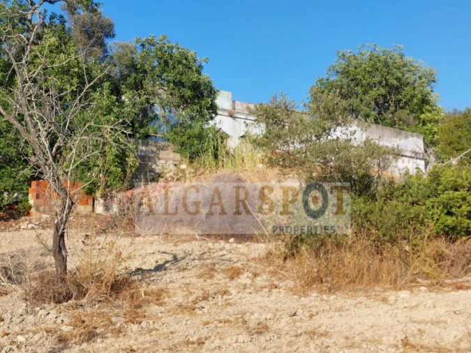 Terreno para Venda em Santa Barbara de Nexe Foto 12