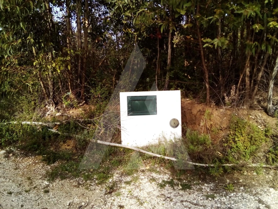 Terreno para Venda em Monchique Foto 8