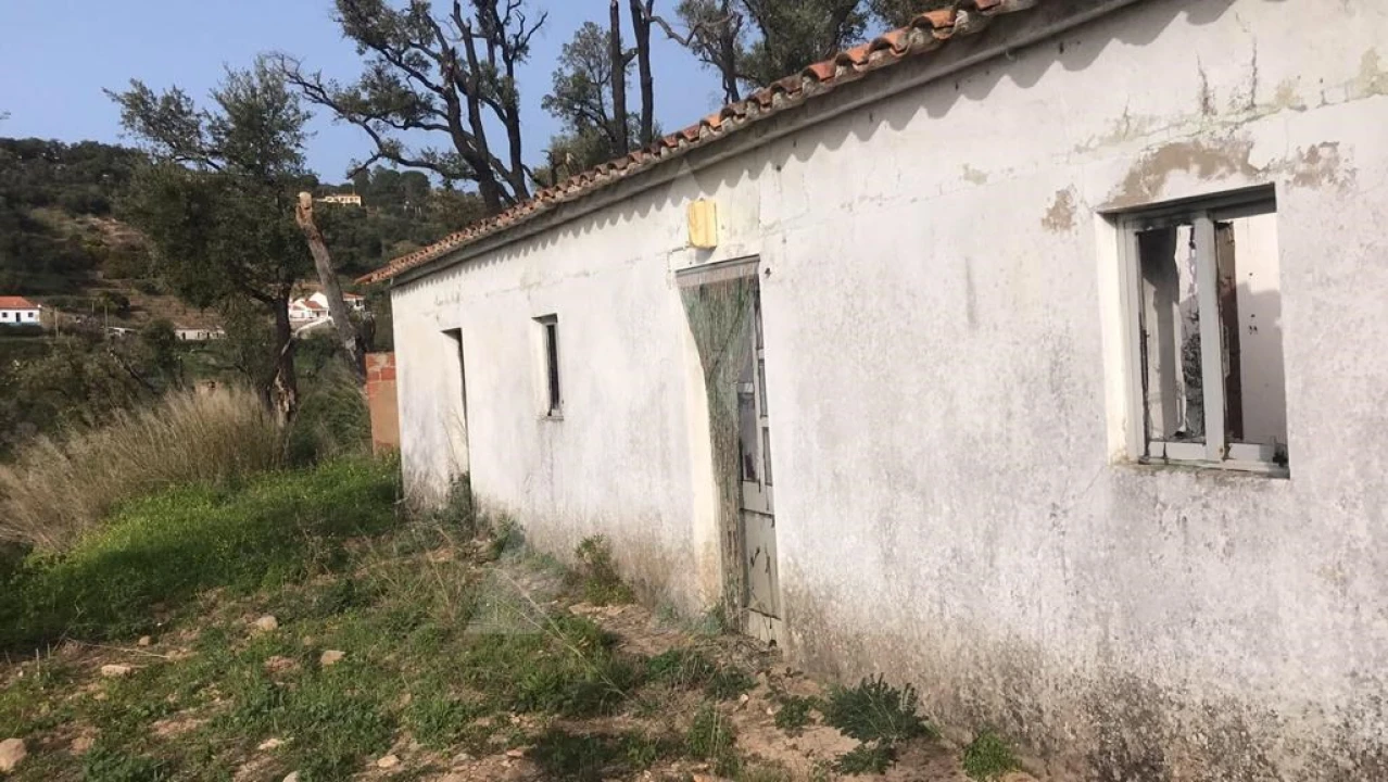Terreno para Venda em Monchique Foto 10