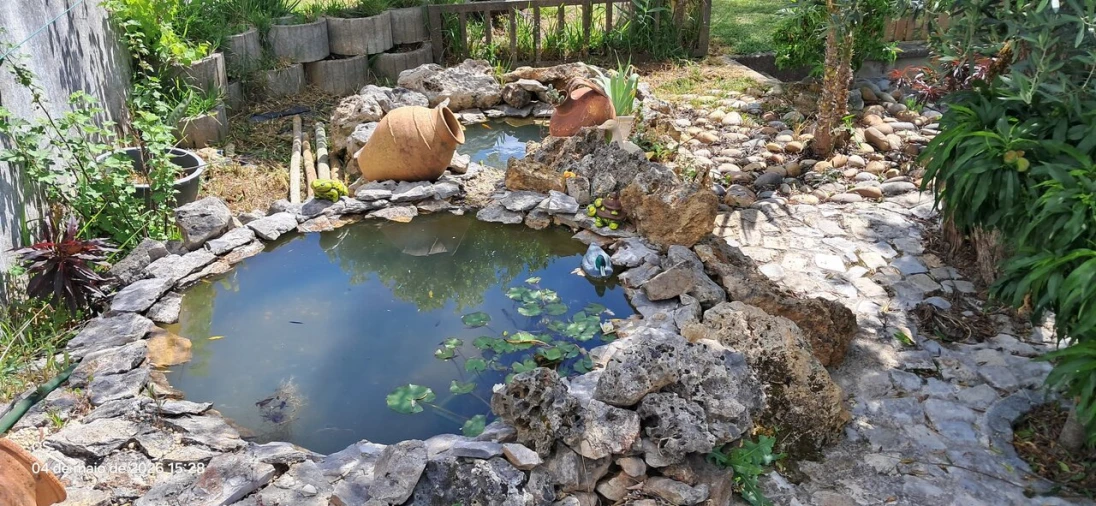 Moradia T3 para Venda em Freixianda, Ribeira do Fárrio e Formigais Foto 19