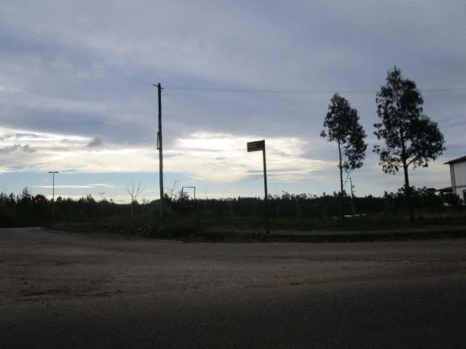 Terreno Agricola ou Rústico para Venda em Valongo do Vouga Foto 4