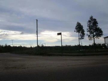 Terreno Agricola ou Rústico para Venda em Valongo do Vouga