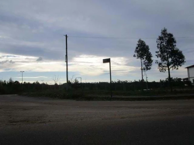 Terreno Agricola ou Rústico para Venda em Valongo do Vouga Foto 4
