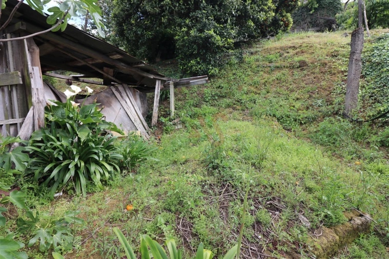 Moradia T4 para Venda em Vila Fria e Vizela (São Jorge) Foto 18