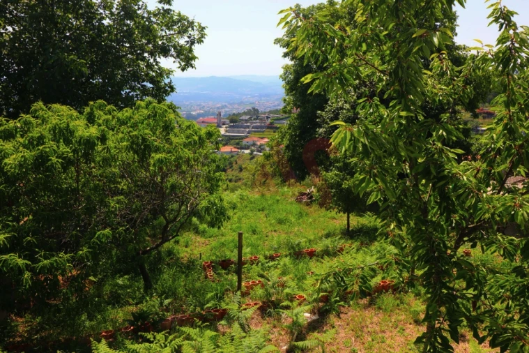 Terreno para Venda em Airão Santa Maria, Airão São João e Vermil Foto 8