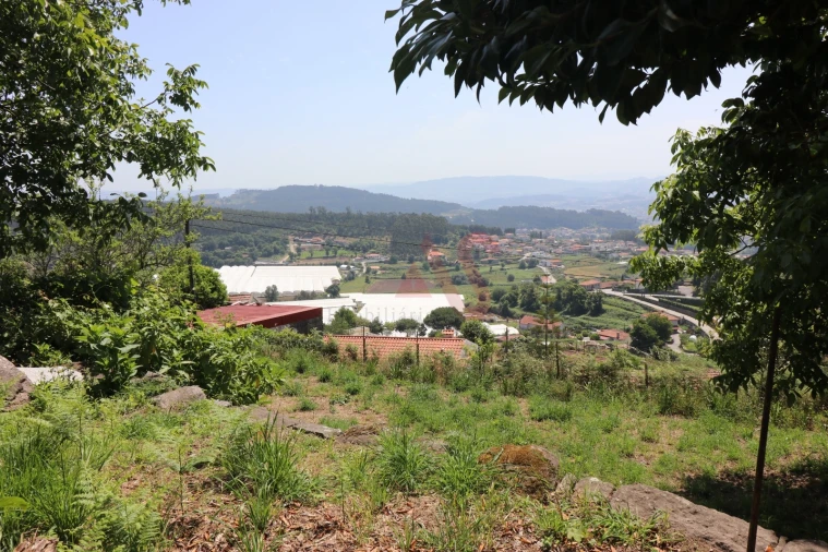 Terreno para Venda em Airão Santa Maria, Airão São João e Vermil Foto 3