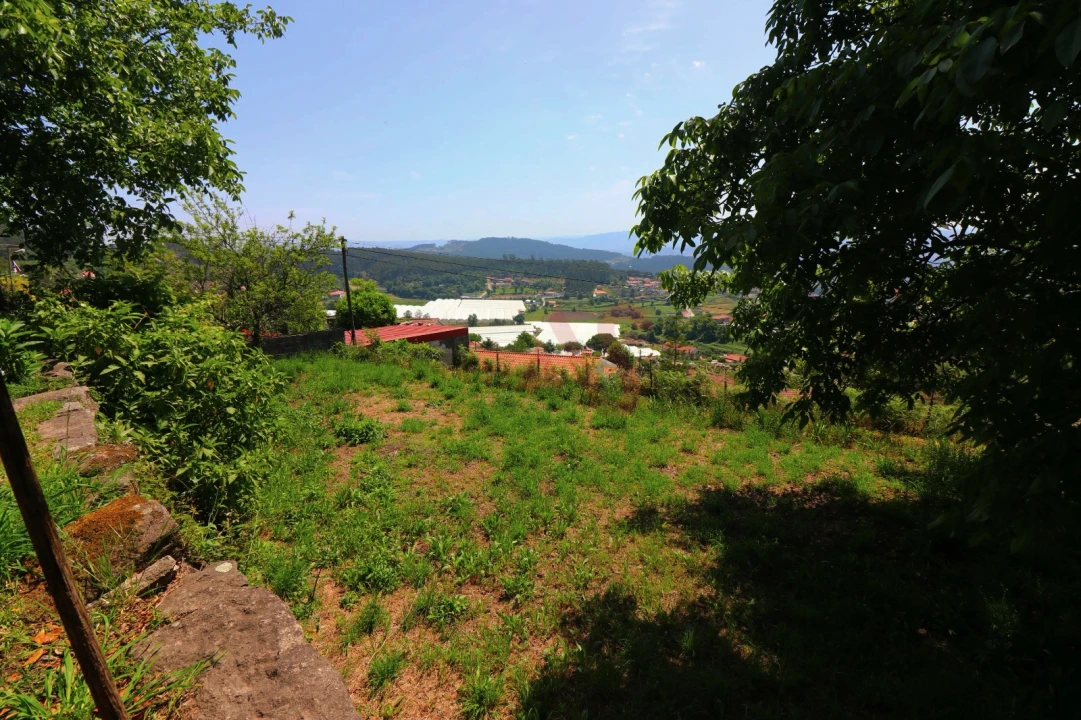 Terreno para Venda em Airão Santa Maria, Airão São João e Vermil Foto 2