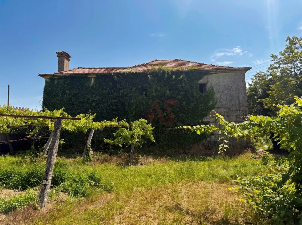 Quinta T0 para Venda em Penafiel Foto 10