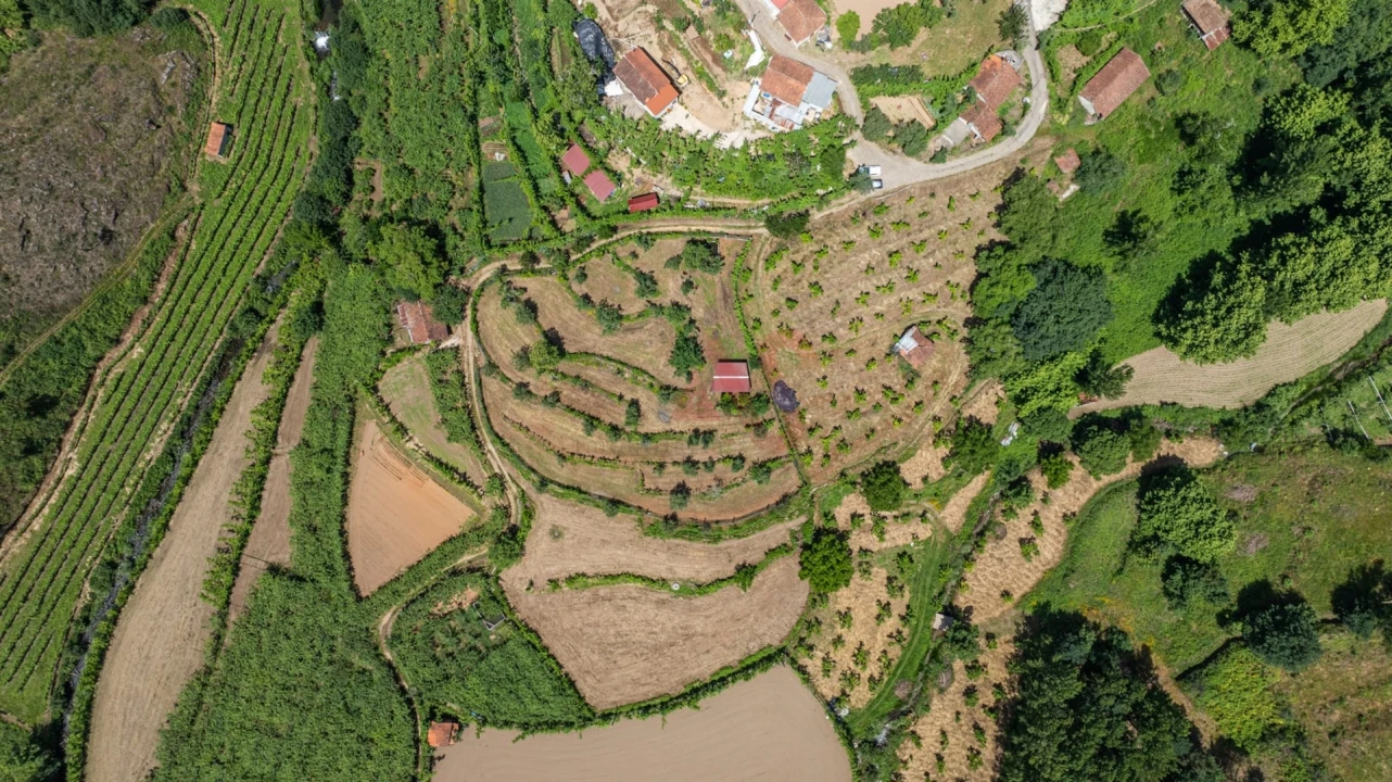 Moradia T2 para Venda em Fervença Foto 12