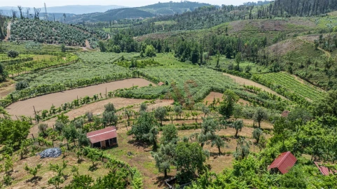 Moradia T2 para Venda em Fervença