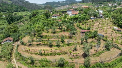 Moradia T2 para Venda em Fervença