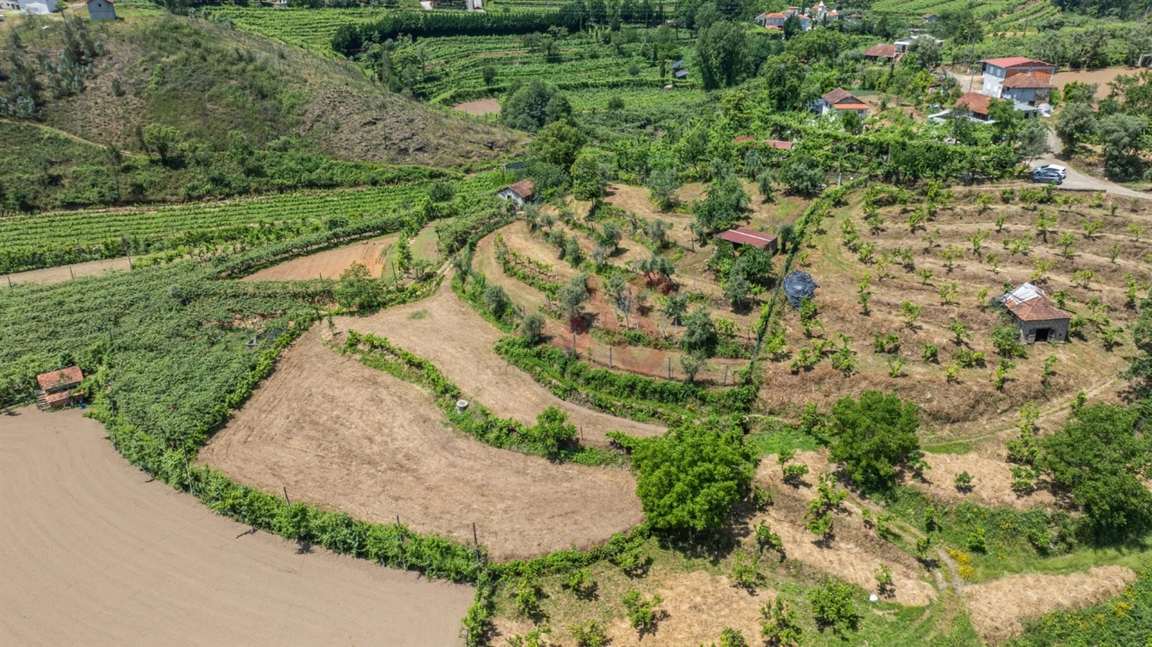 Moradia T2 para Venda em Fervença Foto 17