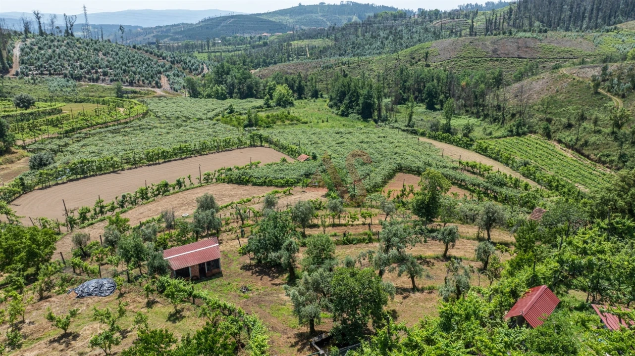 Moradia T2 para Venda em Fervença Foto 13