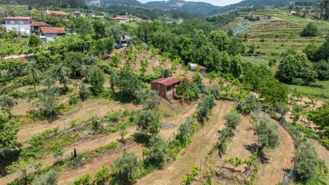 Terreno para Venda em Fervença