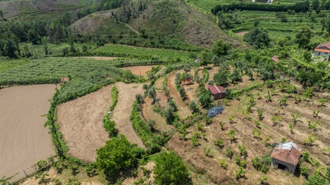 Terreno para Venda em Fervença