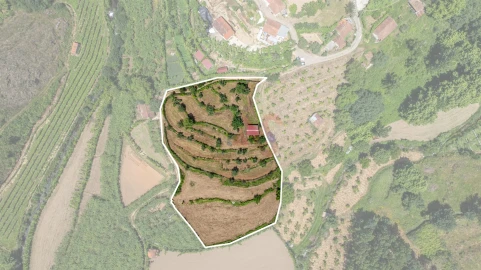 Terreno para Venda em Fervença