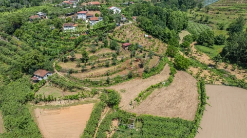 Terreno para Venda em Fervença