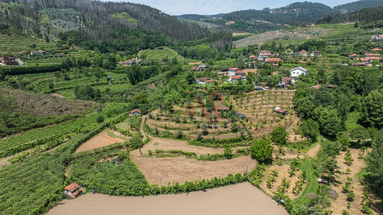 Terreno para Venda em Fervença Foto 5