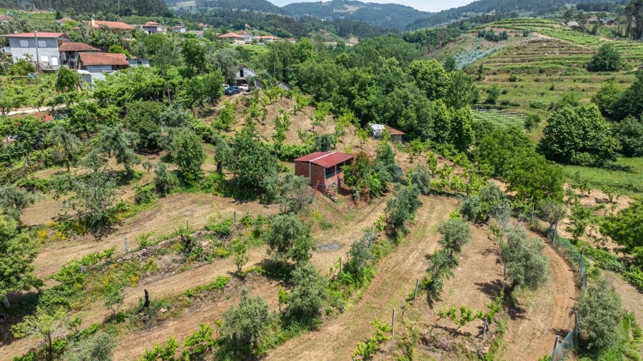 Terreno para Venda em Fervença Foto 7