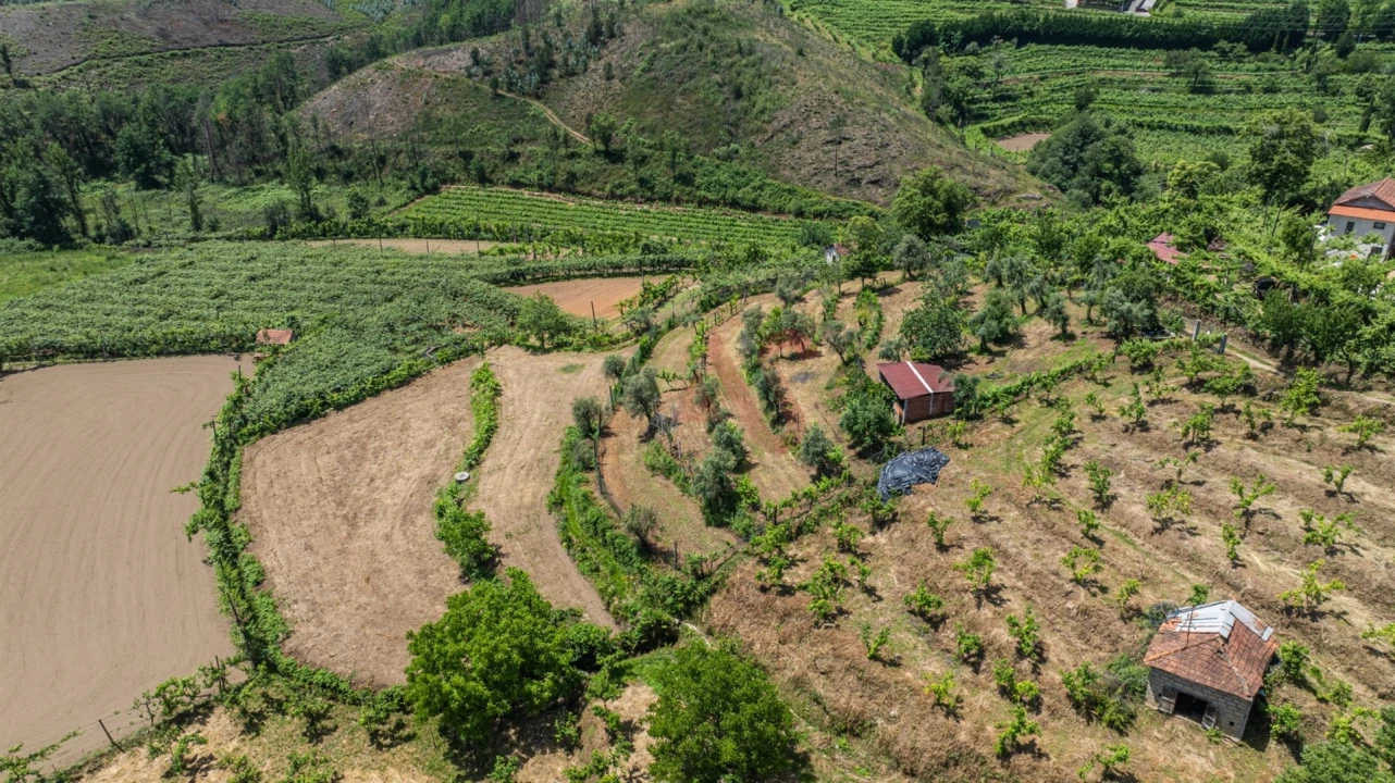 Terreno para Venda em Fervença Foto 4