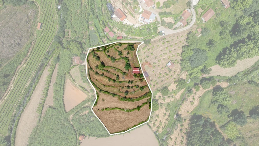 Terreno para Venda em Fervença