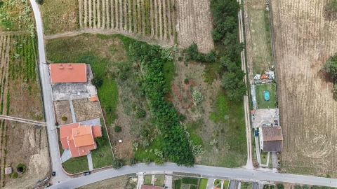 Terreno para Venda em São Lourenço do Bairro