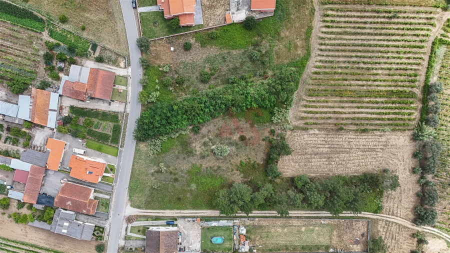 Terreno para Venda em São Lourenço do Bairro Foto 4