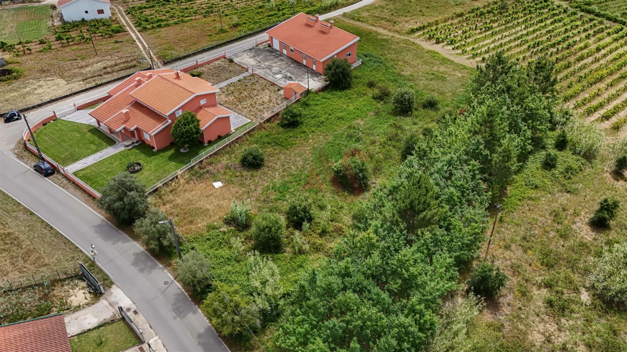 Terreno para Venda em São Lourenço do Bairro Foto 6