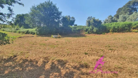 Terreno para Venda em Lanheses