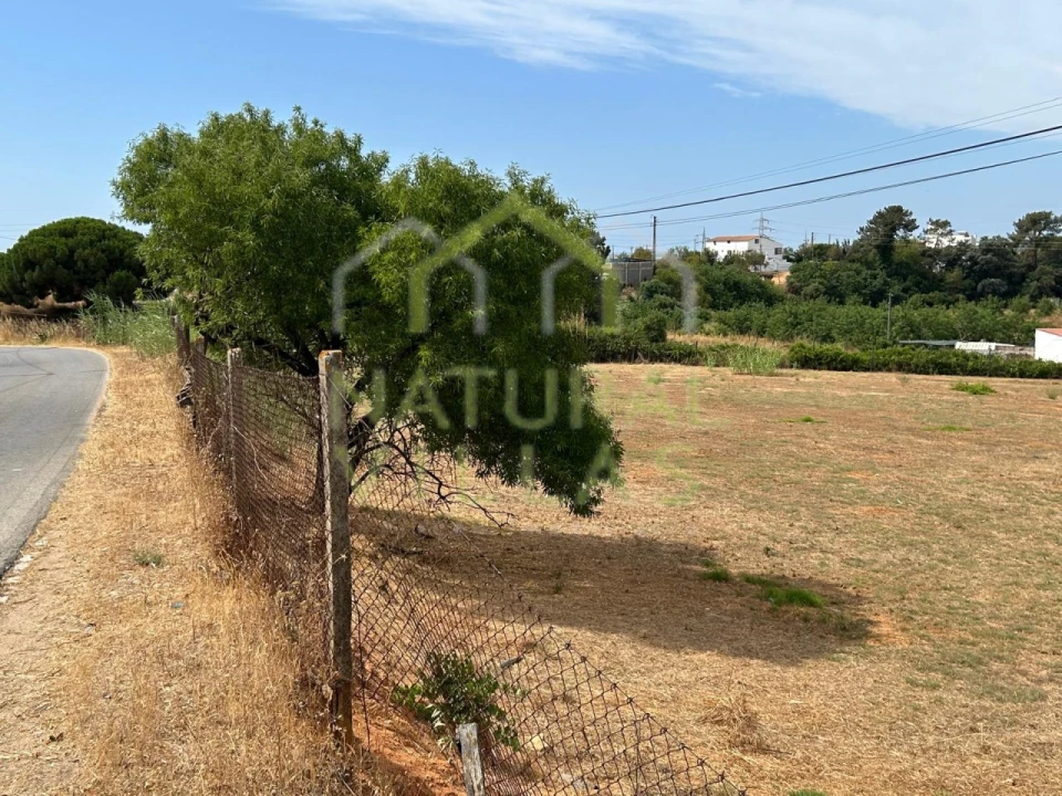 Terreno Agricola ou Rústico para Venda em Conceição e Estoi Foto 4