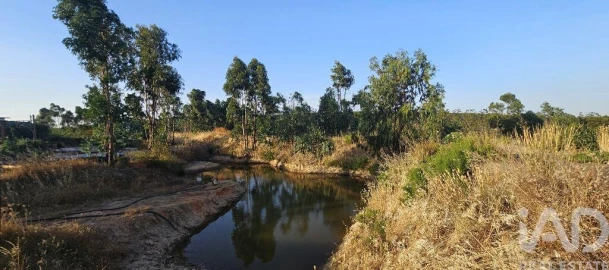 Terreno para Venda em Bensafrim e Barão de São João