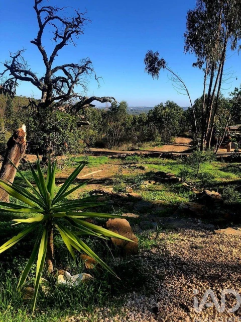 Terreno para Venda em Bensafrim e Barão de São João