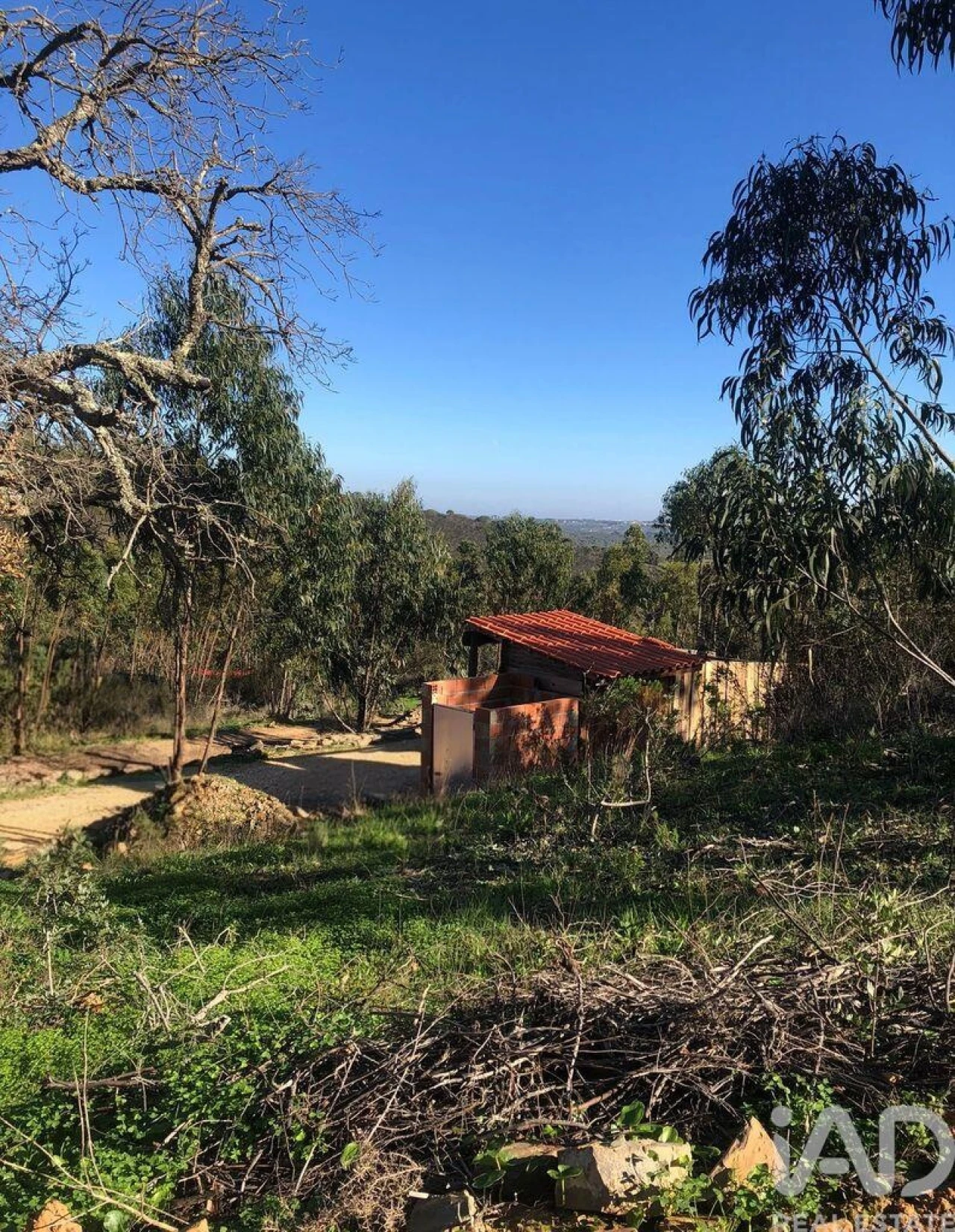 Terreno para Venda em Bensafrim e Barão de São João Foto 21