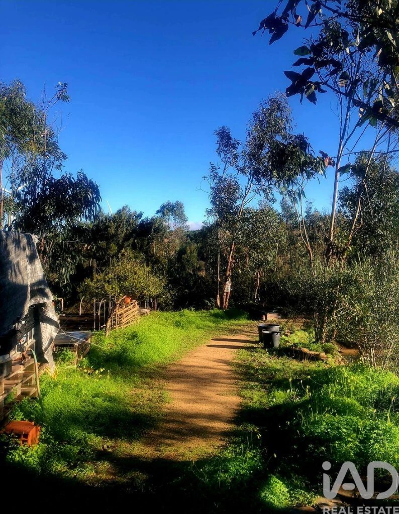 Terreno para Venda em Bensafrim e Barão de São João Foto 14
