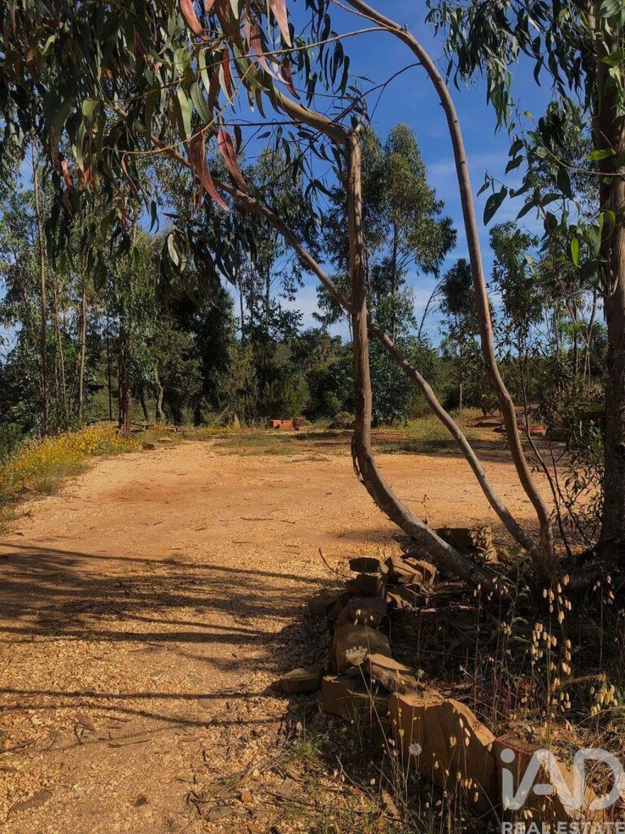 Terreno para Venda em Bensafrim e Barão de São João Foto 12
